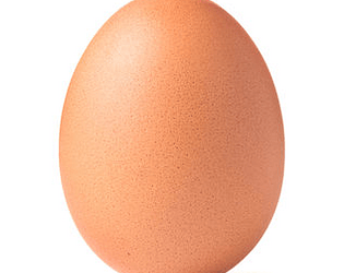 egg runers