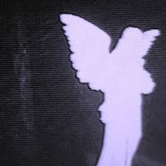 Cover image for nivola's dream