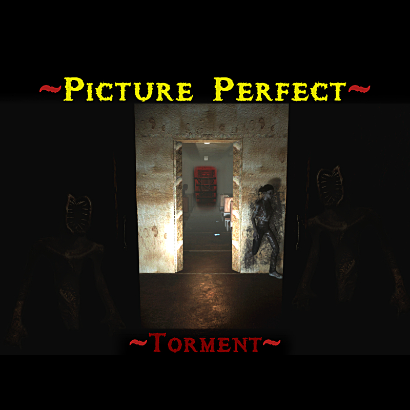 Picture Perfect: Torment cover