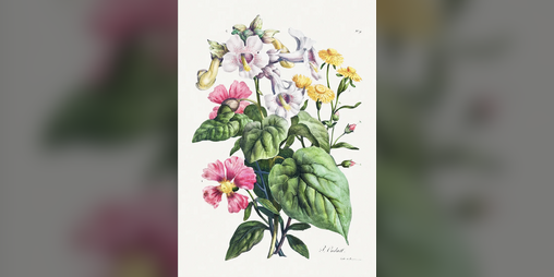 Cover image for La roche tombée du ciel.