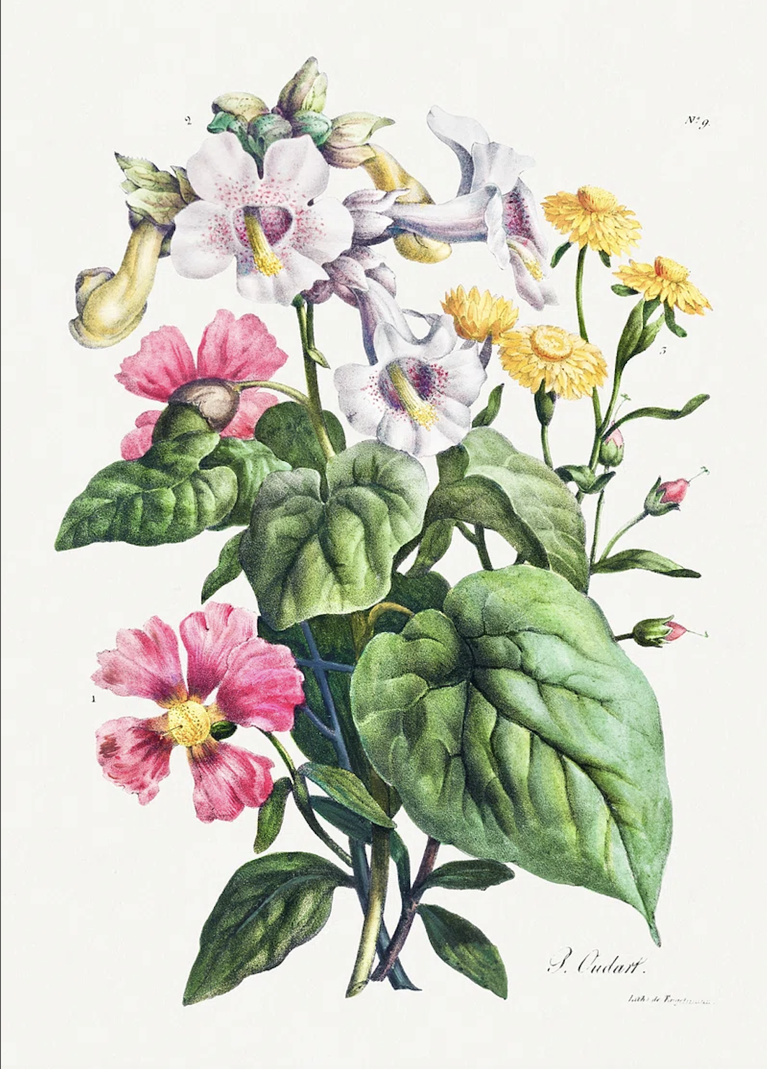 Cover image for La roche tombée du ciel.