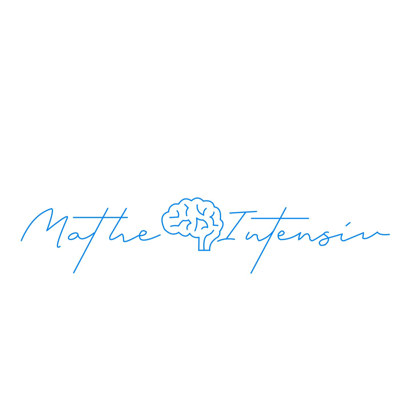 Mathe Intensiv