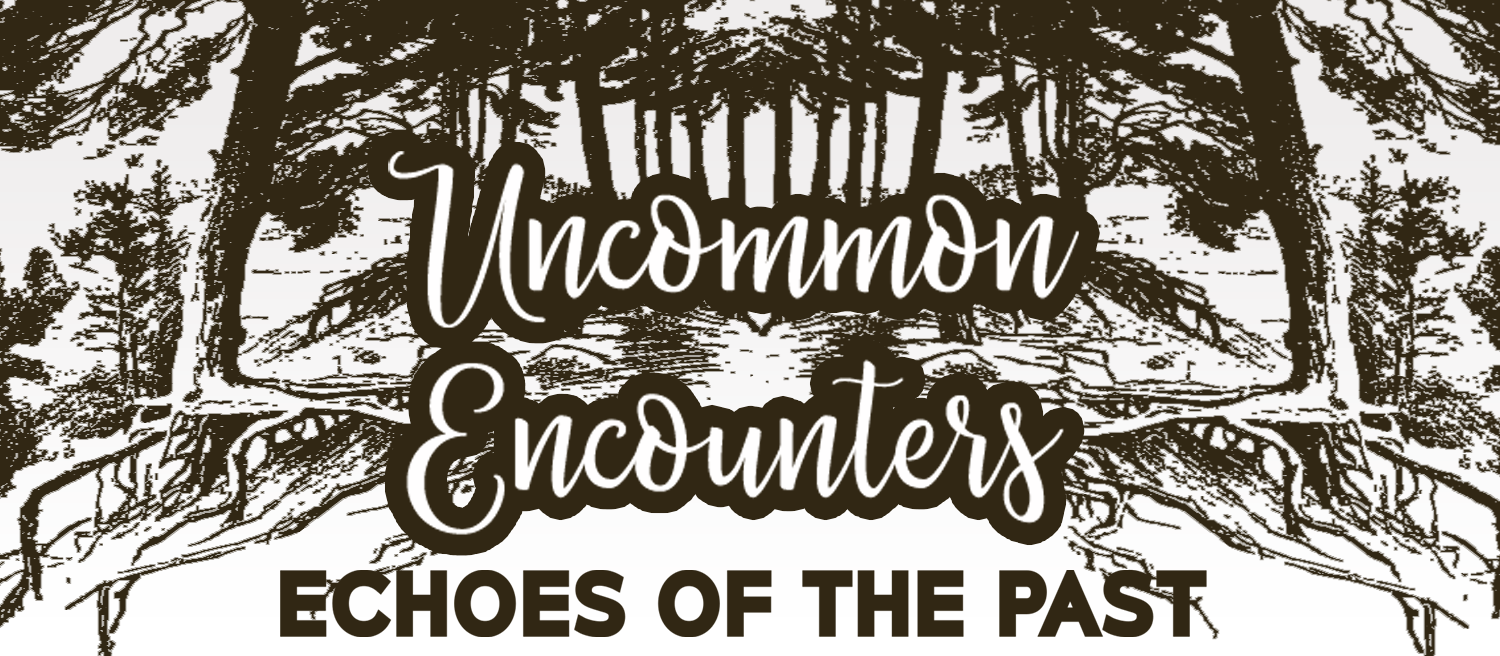 Uncommon Encounters: Echoes of the Past