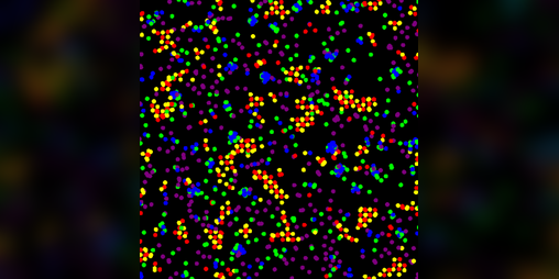 Cover image for Particle Life