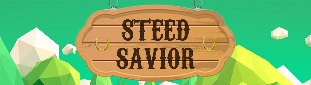 Cover image for Steed Savior