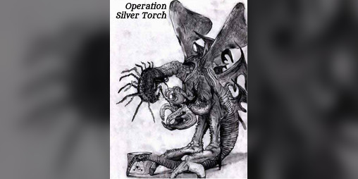Cover image for Operation Silver Torch