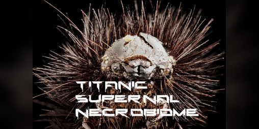 Cover image for Titanic Supernal Necrobiome