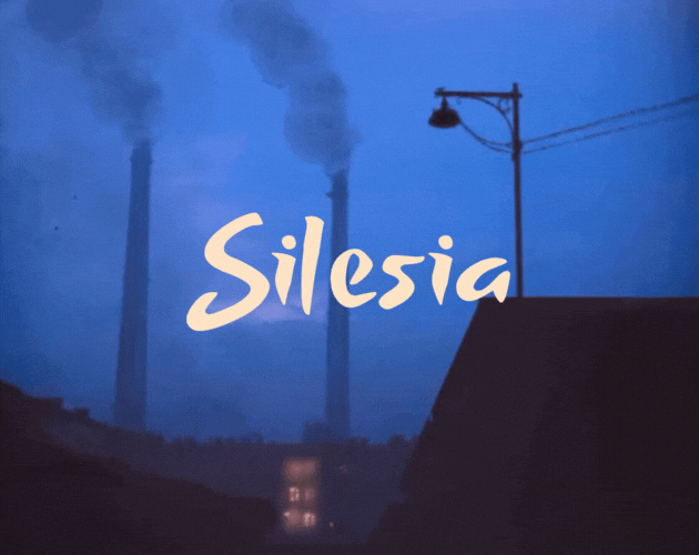 Cover image for Silesia