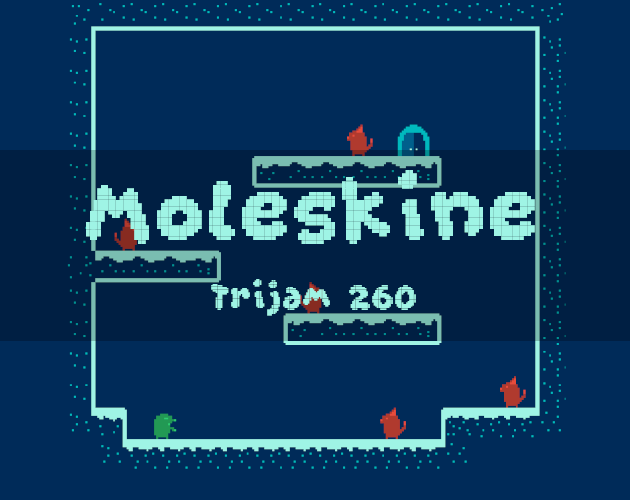 Moleskine