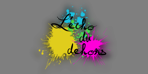 Cover image for L'écho du dehors