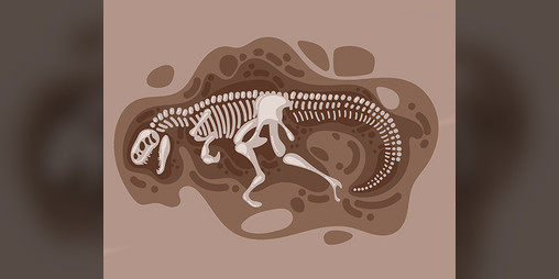 Cover image for Paleontologists