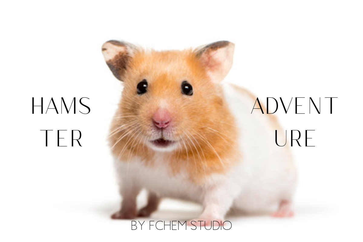 HAMSTER ADVENTURE