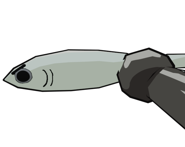 Cover image for Sheer Fish Attack