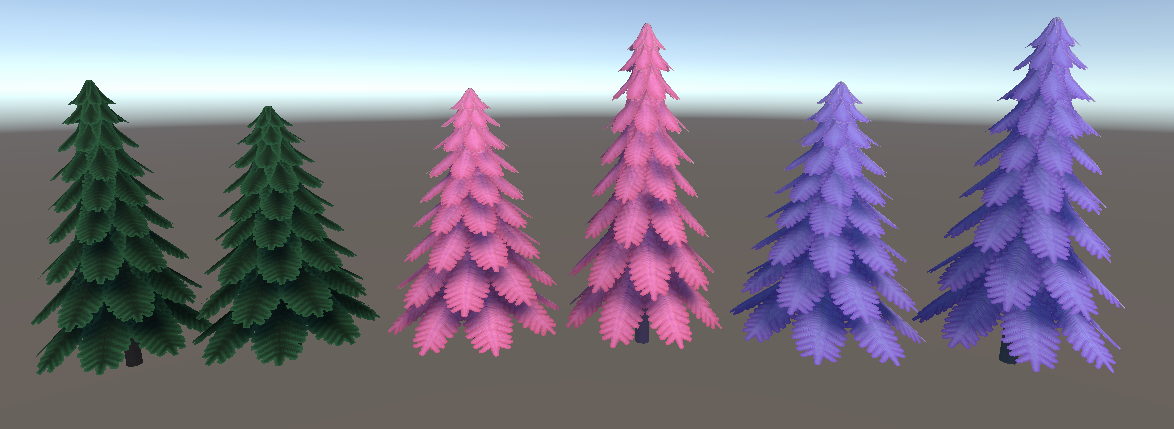 Spruce Trees