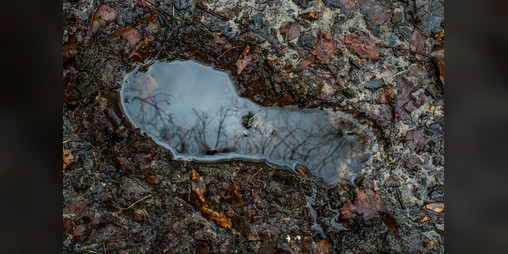 Cover image for Mentor
