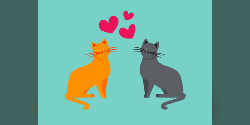 Cover image for Love Cat