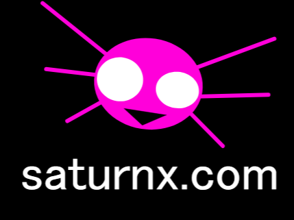 Cover image for saturnx.com