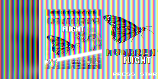 Cover image for Monarch's Flight