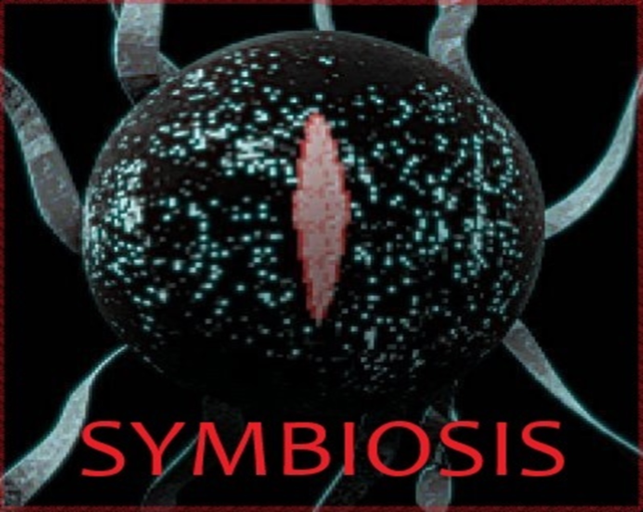 Cover image for Symbiosis