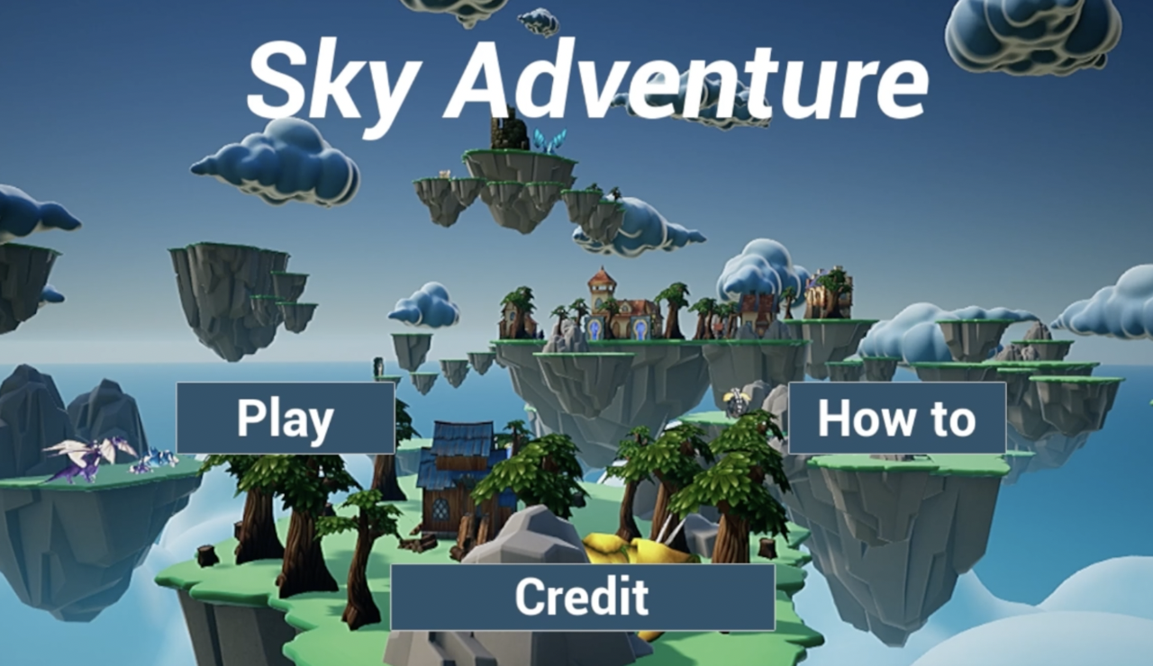 Cover image for Sky Adventure