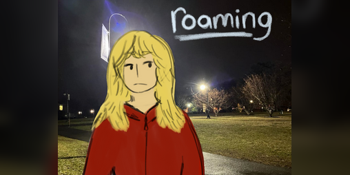 Cover image for Roaming