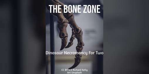 Cover image for The Bone Zone