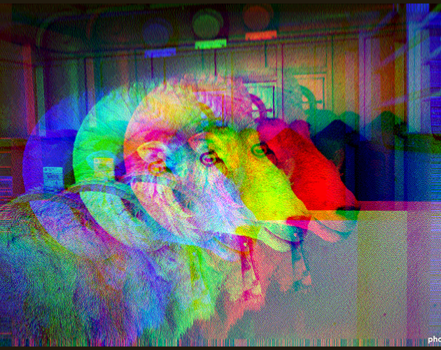 Cover image for Giant Mutant Hybrid Bighorns