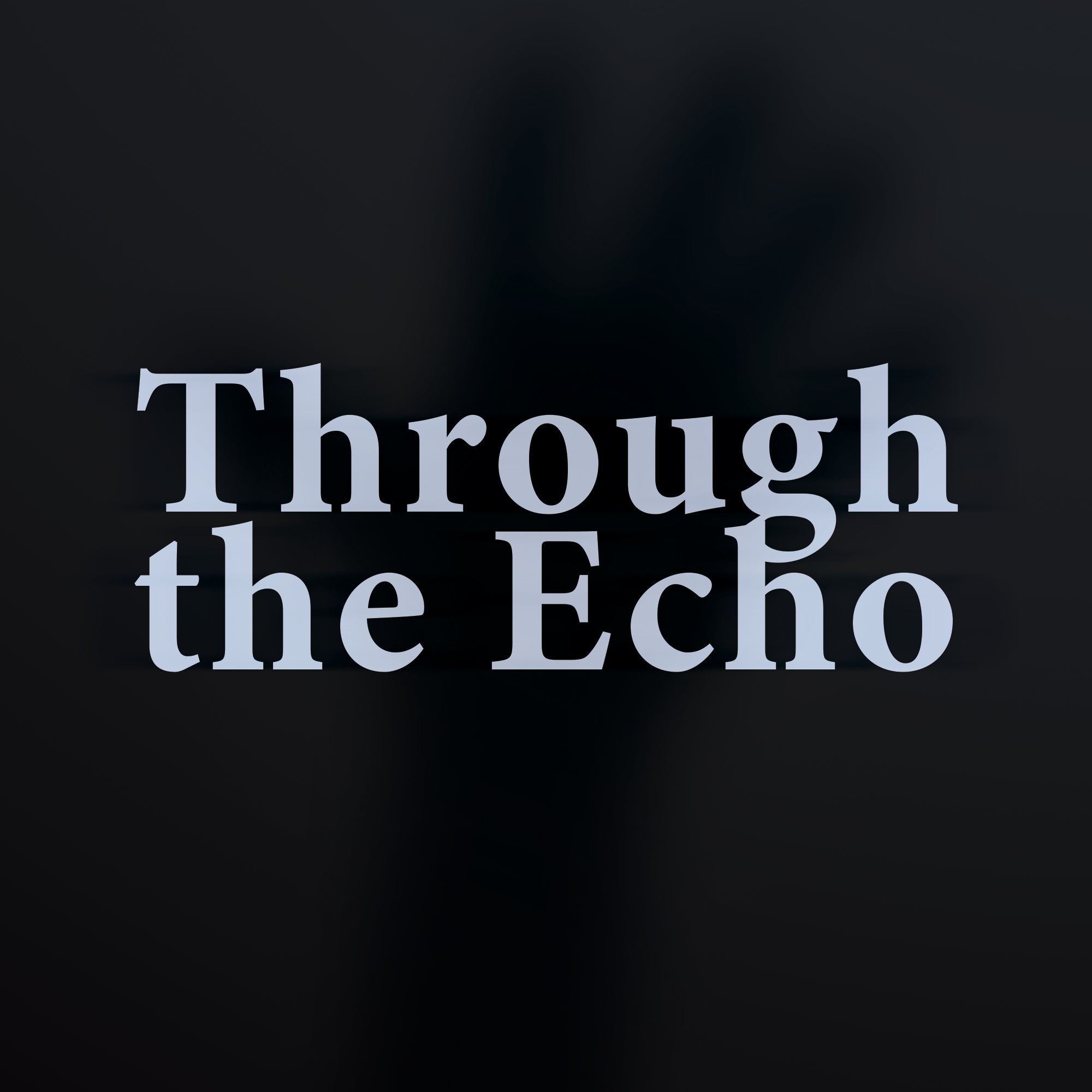 Cover image for Through the Echo