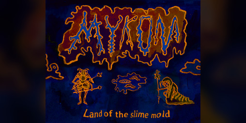 Cover image for MYKOM Land of the slime mold