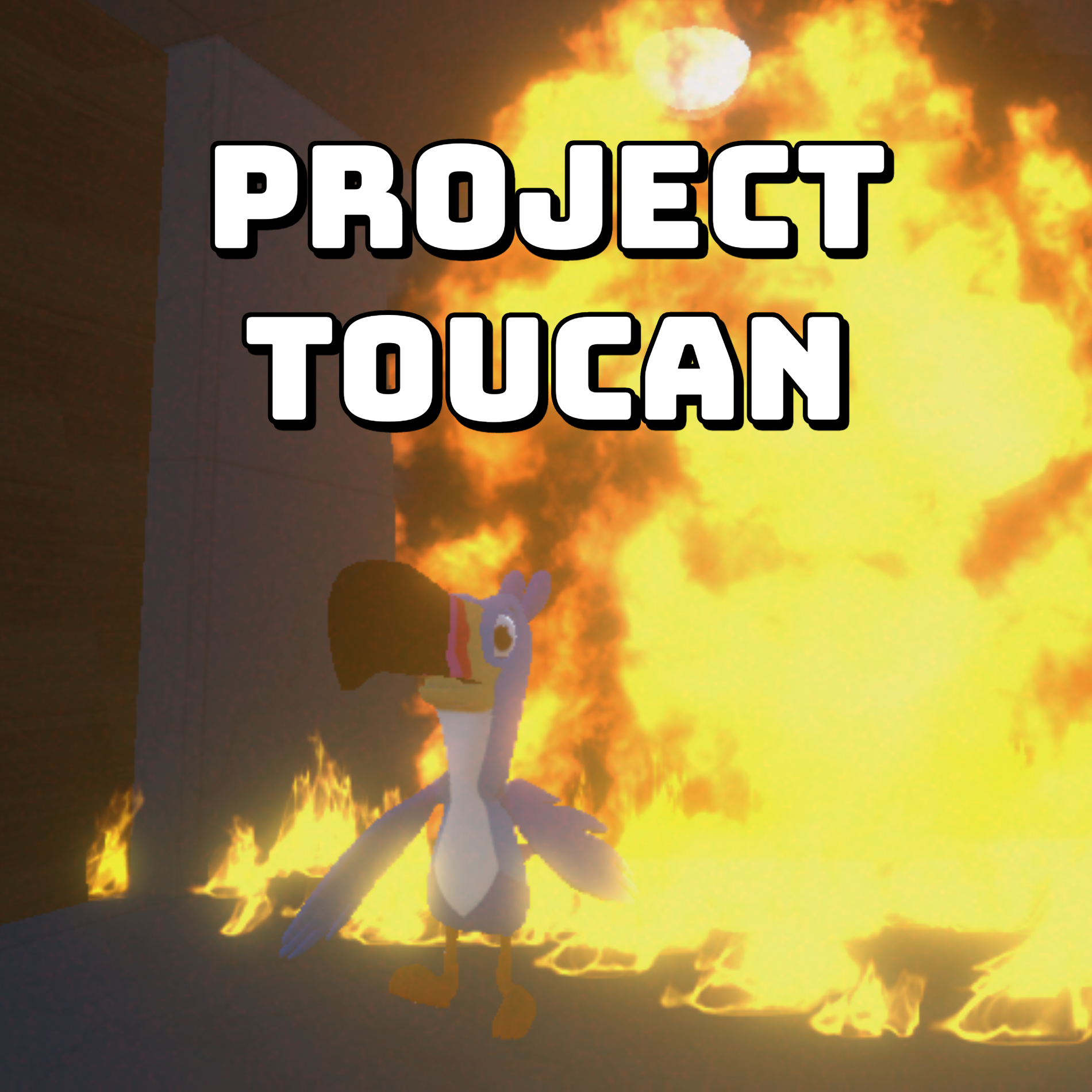 Cover image for Project Toucan