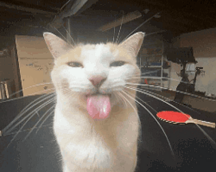 milly the silly boss battle