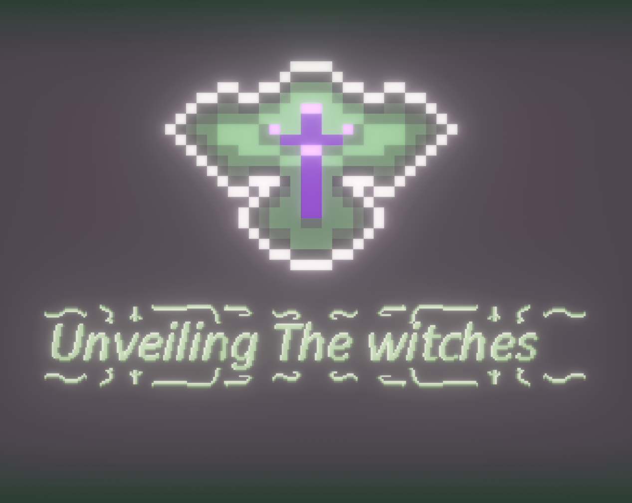 Cover image for Unveiling The Witches