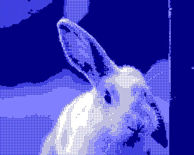 converted image on your Amstrad CPC