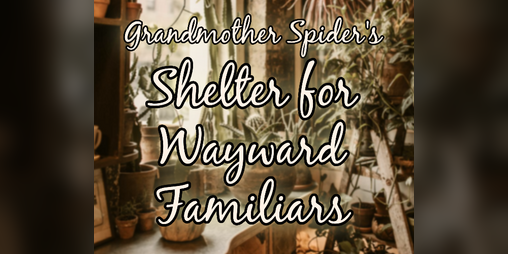 Cover image for Grandmother Spider's Shelter for Wayward Familiars
