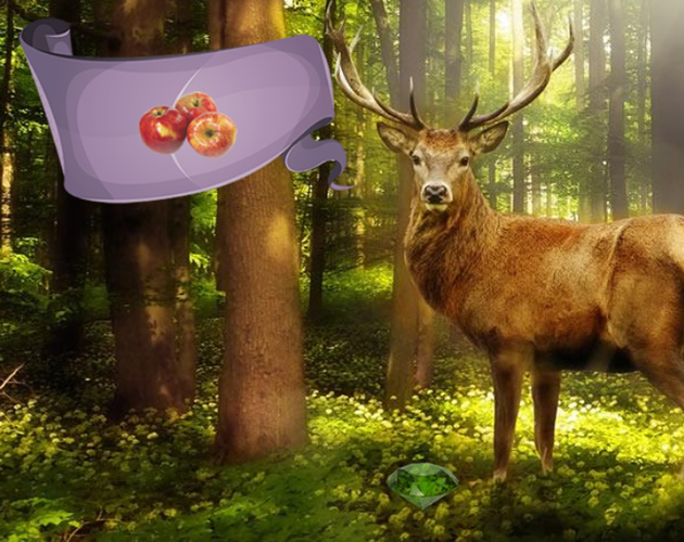 Cover image for Mystic Sunset Forest