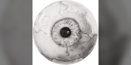 Cover image for Inside The Head