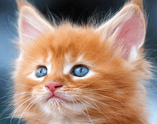 Cat Clicker 1.2