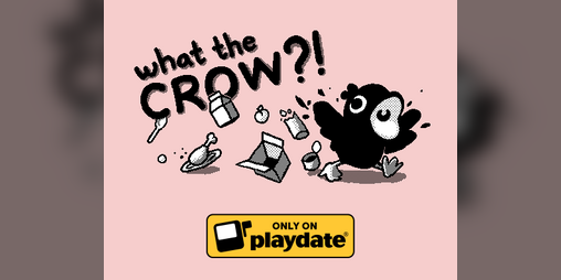 Cover image for What the Crow?!