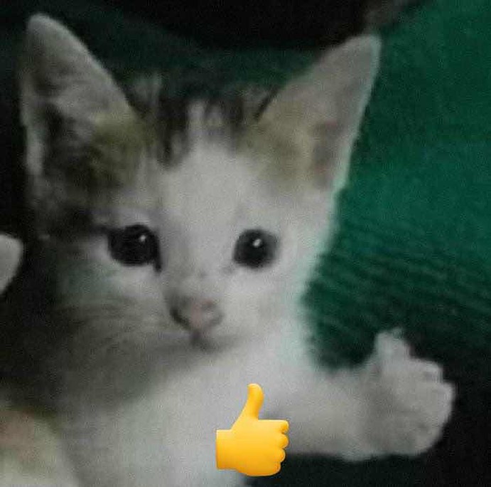 idkidkidk