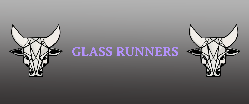 Glass runner