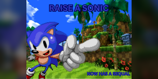 Cover image for Raise A Sonic