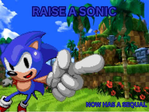 Cover image for Raise A Sonic