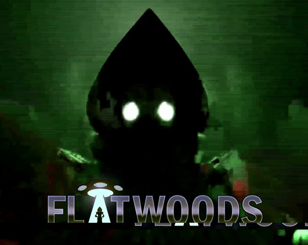 Cover image for FLATWOODS