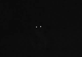 THE SUPER DUPER FOREST