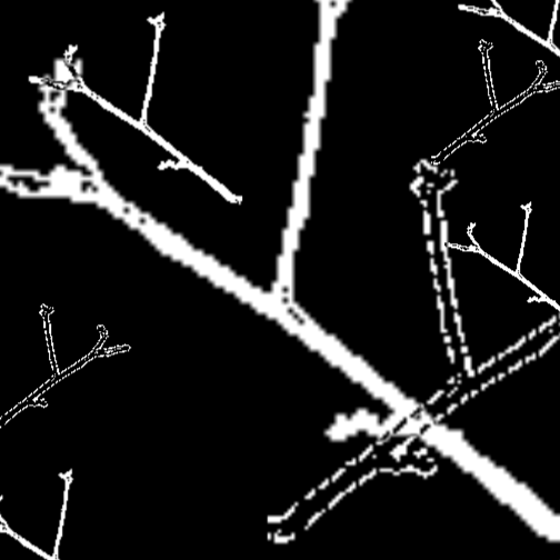 Cover image for Trencat