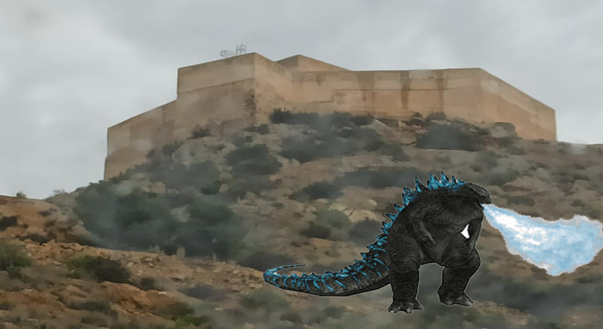 BICHOS GIGANTES QUE PELEAN
