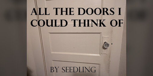 Cover image for All The Doors I Could Think Of