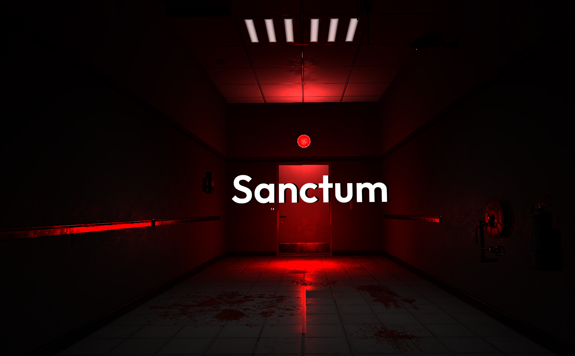 Cover image for Sanctum