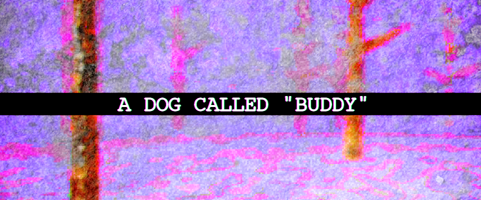 A dog called "Buddy"