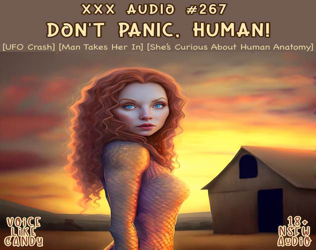 Audio #267 - Don't Panic, Human